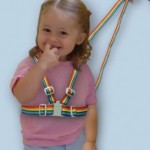 l_safety harness and reins_large