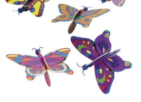 butterfly gliders