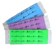 Little Gulliver Disposable Wristbands - Green 10 Pack