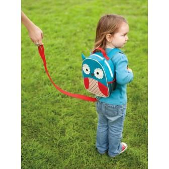 Why Use a Walking Harness?