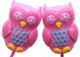 DCI Kids and Adult Earphones - Owl